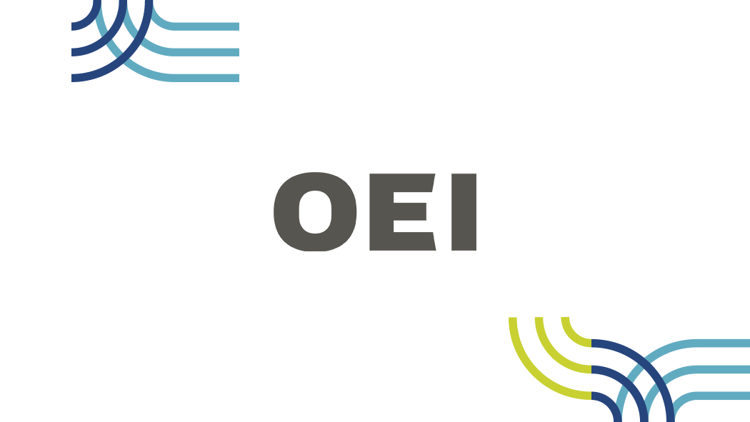 Organización de Estados Iberoamericanos